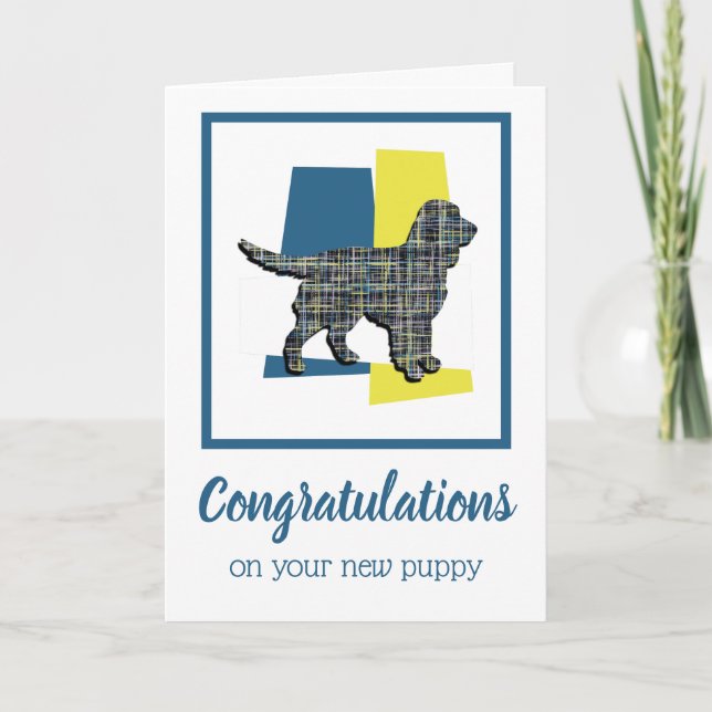 Sprocker Spaniel Dog Welpe Gratulationen Karte (Vorderseite)