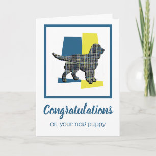Sprocker Spaniel Dog Welpe Gratulationen Karte