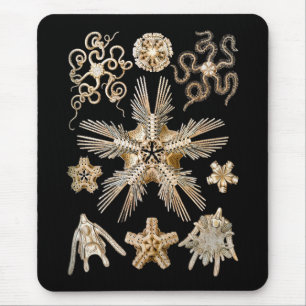 Spröde Sterne Mousepad