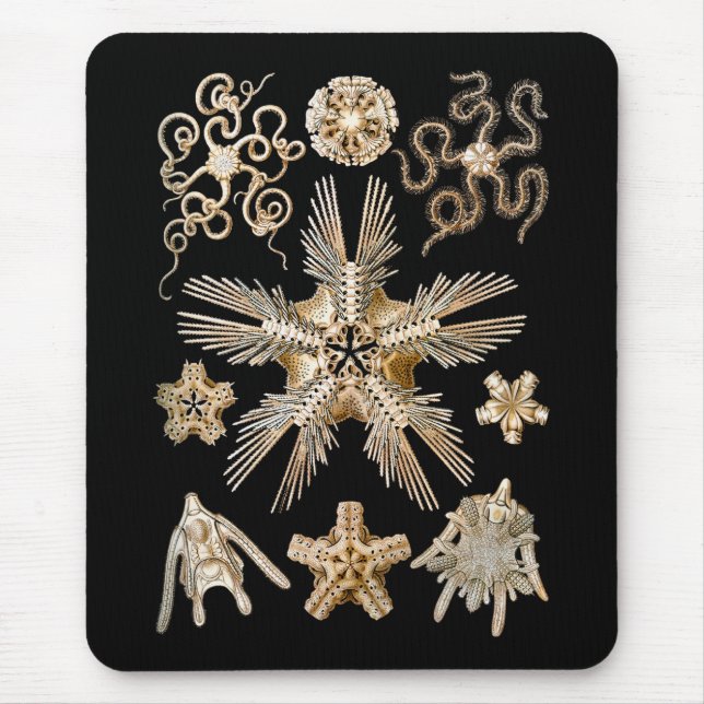 Spröde Sterne Mousepad (Vorne)