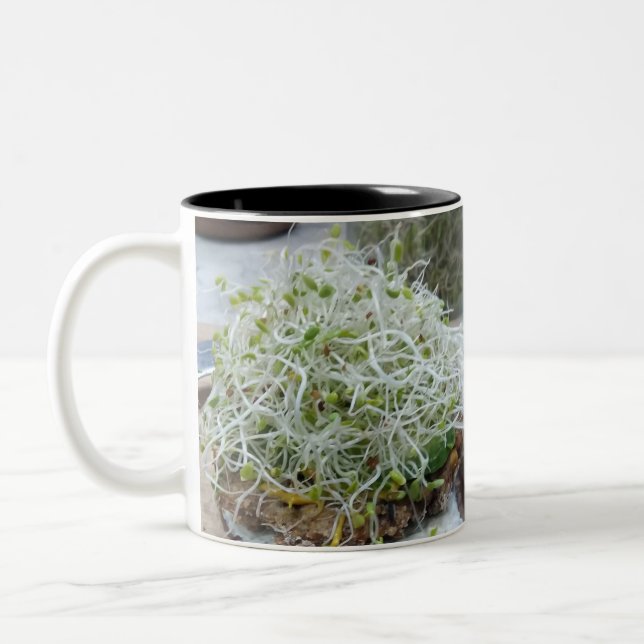 Sprouting: den Anfänger-Guide zu den wachsenden Sp Zweifarbige Tasse (Links)