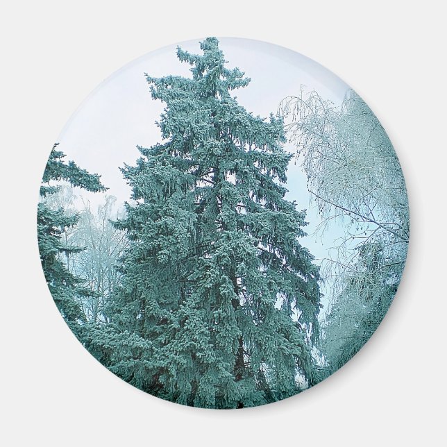 Spruce mit Schnee Magnet (Vorne)