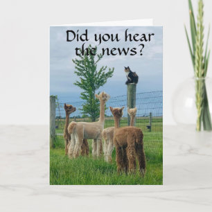 SPRÜMEN IST, DASS **70. GEBURTSTAG** NICHT SO SCHL KARTE