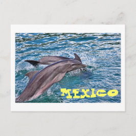 Sprung Delphine Mexiko Postkarte