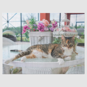 Sprungzettel Seidenpapier