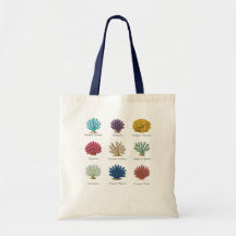 SPS Coral ID Vintag Botanische Illustration