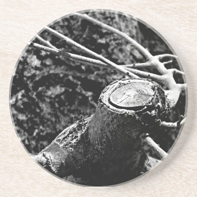 Spucken Sie mich um den Baum Getränkeuntersetzer (Vorne)