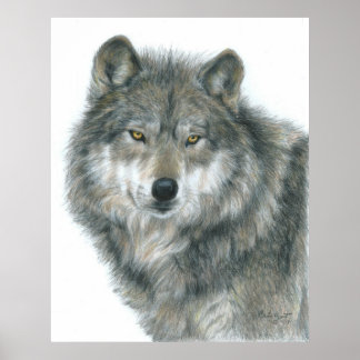 "Spuk Eyes" Wolf Poster von Artist Carla Kurt
