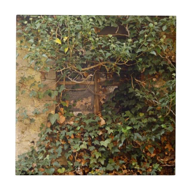 Spuk Fenster   Fliese (Vorderseite)