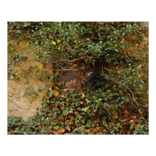 Spuk Fenster    Poster