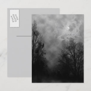 Spuk Halloween Sky mit Ravens Postkarte