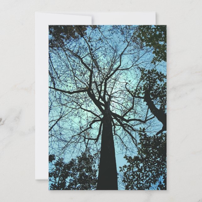 Spuk HolzHalloween-Einladung Einladung (Vorderseite)