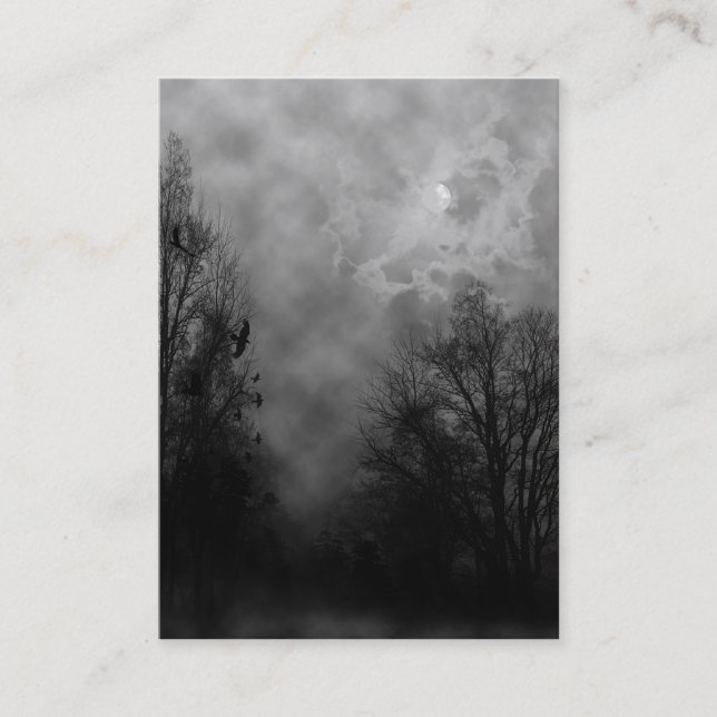 Spuk Luftraum mit Ravens Business Card Visitenkarte (Vorderseite)