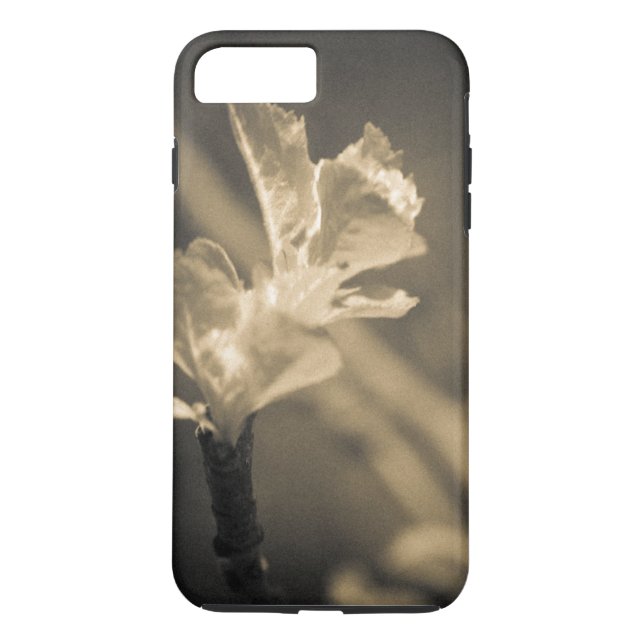 Spur des Frühlings Case-Mate iPhone Hülle (Rückseite)