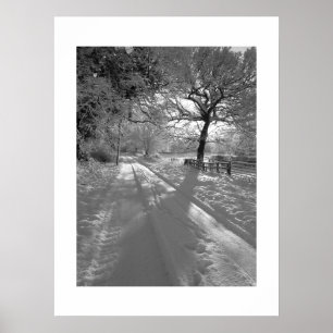 Spuren im Schnee: Cheshire Poster