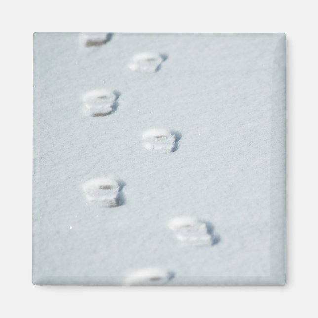 Spuren im Schnee Magnet (Vorne)