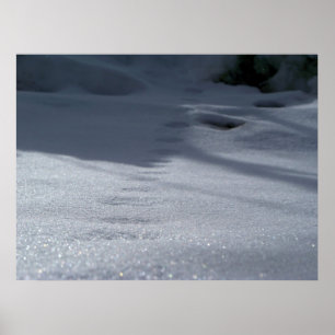 Spuren im Schnee Poster