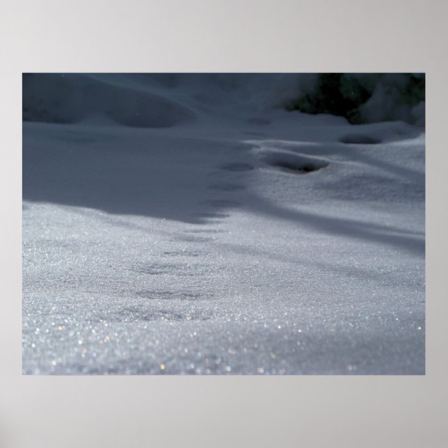 Spuren im Schnee Poster (Vorne)