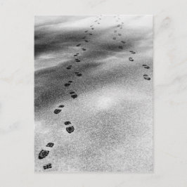 Spuren im Schnee Postkarte