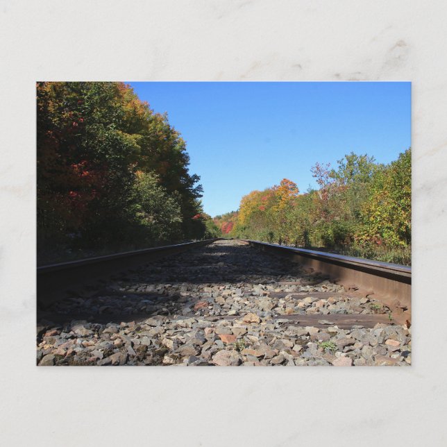Spuren in den Herbst Postkarte (Vorderseite)