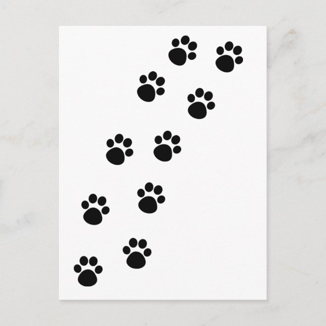 Spurweite der Katzenpflastermarken Postkarte (Vorderseite)