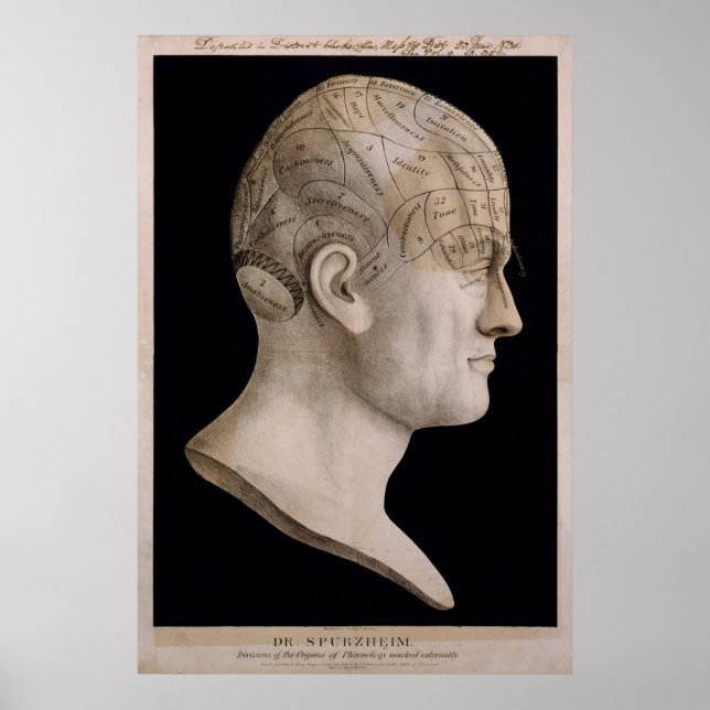 Spurzheims Sprachkarte Poster (Vorne)
