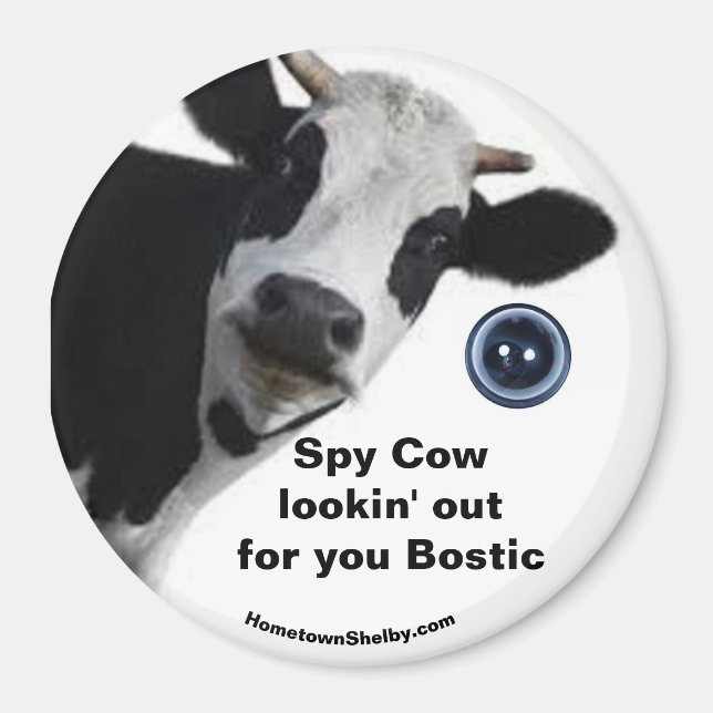 Spy Cow sucht nach dir Bostic-Spaß-Magnet Magnet (Vorne)