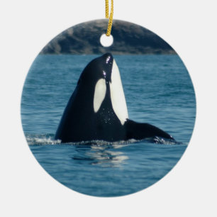 Spyhop Verzierung Keramikornament