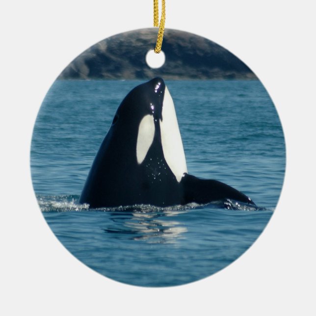 Spyhop Verzierung Keramikornament (Vorne)