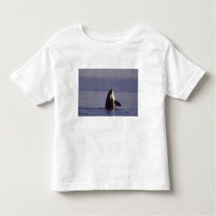 Spyhopping Orca Killer Whale (Orca Orcinus) in der Kleinkind T-shirt