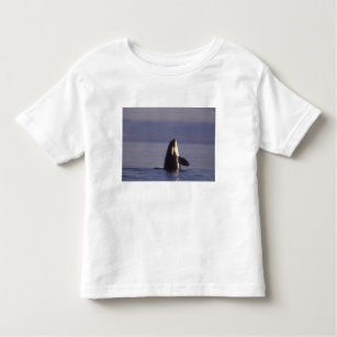 Spyhopping Schwertwal-Killerwal (Schwertwal Kleinkind T-shirt