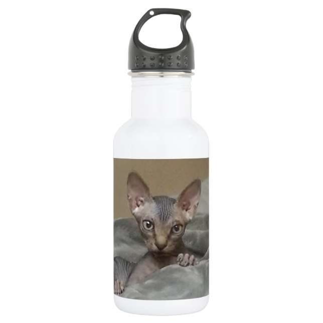 Spynx Kätzchen Edelstahlflasche (Vorderseite)