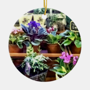SQ_AfricanVioletsForSaleAfrican Violets for sale Keramik Ornament