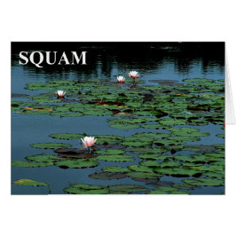 Squam Lake Lilies