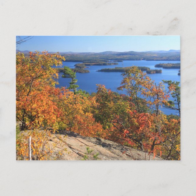 Squam Lake Rattlesnake Cliffs - Herbst Postkarte (Vorderseite)