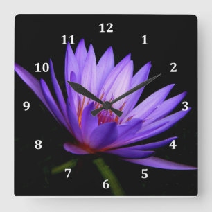 Square Clock, Dunkle Seite der Lila Wasserlilie Quadratische Wanduhr