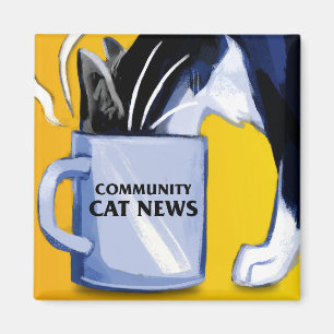 Square Community Cat News Magnet