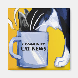 Square Community Cat News Magnet
