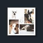 Square Custom Family Pet 4-Foto-Leinwand Leinwanddruck<br><div class="desc">Capture the year's Erinnerungen in einem anpassbaren quadratischen Druck mit vier Ihrer Lieblings-Haustier-Fotos,  Name und Jahr.</div>