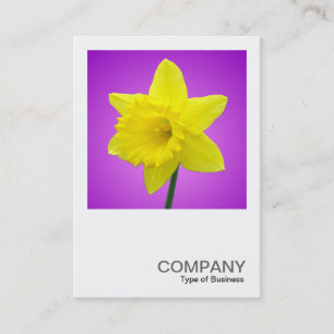 Square Foto 012 - Daffodil Visitenkarte