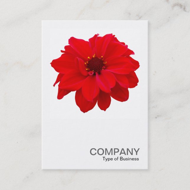 Square Foto 0160 - Dahlia, Bischof von Llandaff Visitenkarte (Vorderseite)