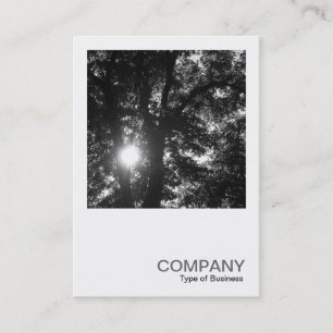 Square Foto 0255 - Sun Through Trees B&W Visitenkarte