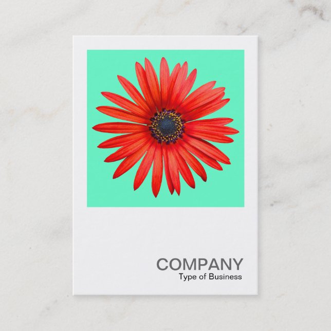 Square Foto 0344 - Roter Teufel auf Türkis Visitenkarte (Vorderseite)