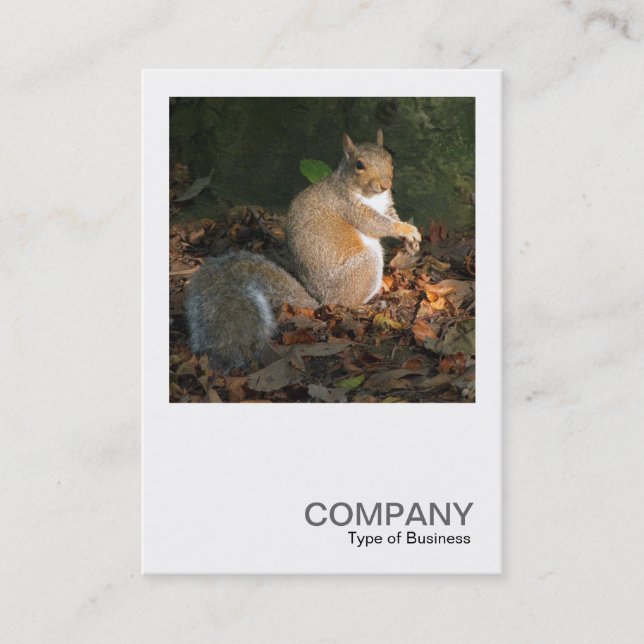 Square Foto 0364 - Gray Squirrel Visitenkarte (Vorderseite)