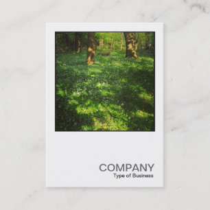 Square Foto 0469 - Frühjahr im Wald Visitenkarte