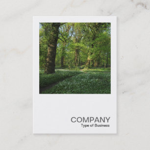 Square Foto 0472 - Frühjahr im Wald Visitenkarte