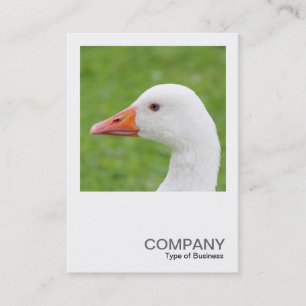 Square Foto 0488 - White Goose Visitenkarte