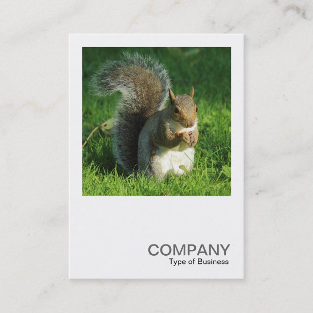 Square Foto 0552 - Gray Squirrel Eating Nuts Visitenkarte (Vorderseite)