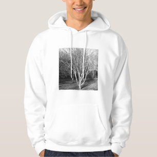 Square Foto - Baum Hoodie