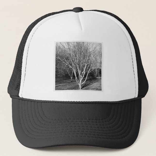 Square Foto - Baum Truckerkappe (Vorderseite)